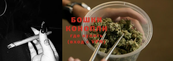 гидра Наволоки