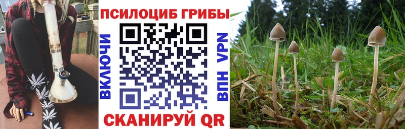 Псилоцибиновые грибы мухоморы  Купить где  Калач 